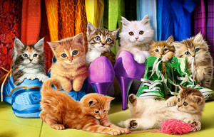 Eurographics-Puzzle 1000 Teile: Stolze Katzenkinder
