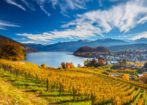Schmidt-Spiele-Puzzle 2000 Teile: Weinberge