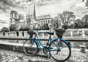 Blaues Fahrrad vor Notre Dame