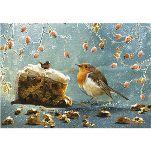 Otter House-Puzzle 500 Teile: Rotkehlchen im Winter