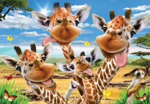 Giraffen-Selfie