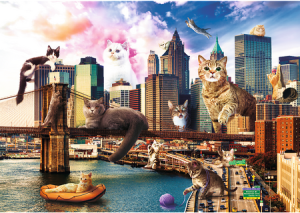 Katzen in New York
