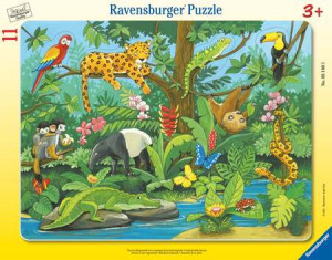 Tiere im Regenwald