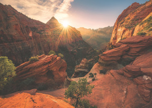 Ravensburger-Puzzle 1000 Teile: Nature Edition - Zion Canyon USA