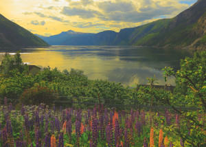 Ravensburger-Puzzle 1000 Teile: Fjord in Norwegen