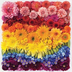 Galison/Mudpuppy-Puzzle 500 Teile: Regenbogenblumen Collage