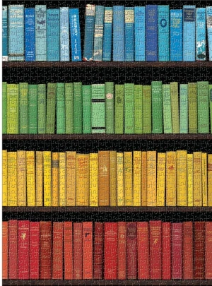 Galison/Mudpuppy-Puzzle 1000 Teile: Mein Bücherregal