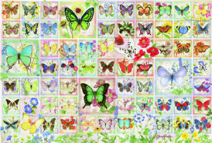 Schmetterlinge und Blüten