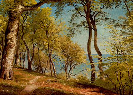 D-Toys-Puzzle 1000 Teile: Birkenwald an der Küste, Mønsted