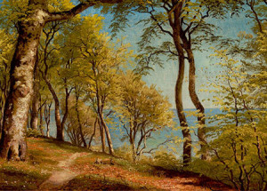 Birkenwald an der Küste, Mønsted