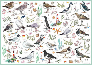 Otter House-Puzzle 500 Teile: Küstenvögel