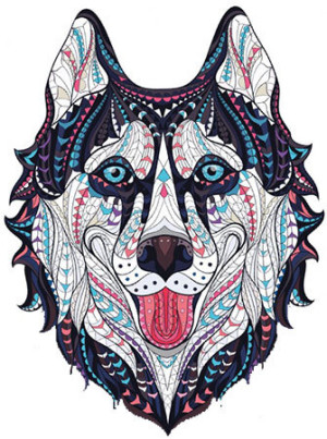 Sibirischer Husky