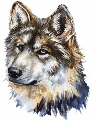 Wizardi Puzzle-Puzzle 152 Teile: Grauer Wolf