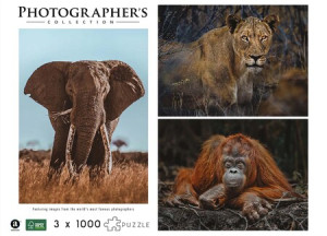 WWF präsentiert: 12 Tierpuzzle