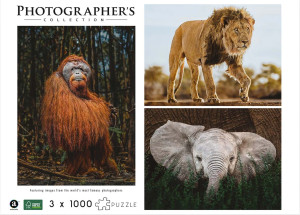 Ambassador-Puzzle 1000 Teile: Wildtiere 3 x 1000 Teile (Donal Boyd)