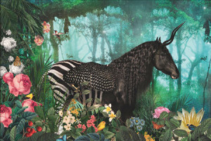 Equpidae