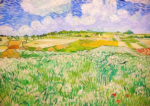 Enjoy Puzzle-Puzzle 1000 Teile: Vincent Van Gogh: Ebene bei Auvers