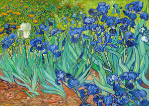 Schwertlilien, van Gogh
