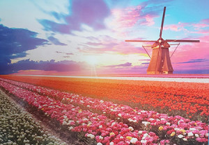 Puzzle Mate-Puzzle 1000 Teile: Niederländische Windmühle und Tulpen