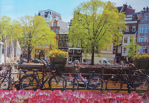Puzzle Mate-Puzzle 1000 Teile: Fahrräder und Tulpen