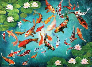 Koi Fische von Guido Borelli