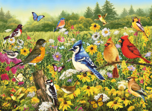 Ravensburger-Puzzle 500 Teile: Vogelwiese
