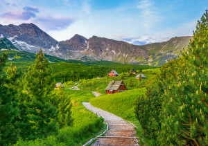 Castorland-Puzzle 500 Teile: Wanderweg in Tatras, Polen