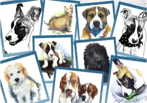 Charismatische Hunde