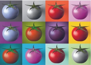 Dinotoys-Puzzle 1000 Teile: Pop Art|Tomaten