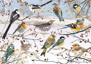 Otter House-Puzzle 1000 Teile: Vögel im Winter