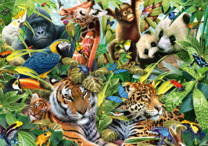 Kunterbunte Wildtierwelt