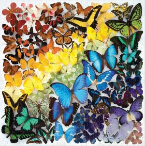 Galison/Mudpuppy-Puzzle 500 Teile: Regenbogenfarbene Schmetterlinge