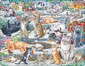Süße Katzen (verschiedene Rassen und Größen)