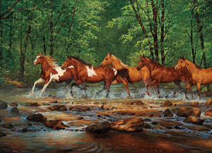 Wildpferde im Fluss