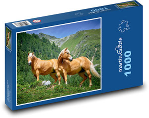 Haflingerpferde auf der Alm
