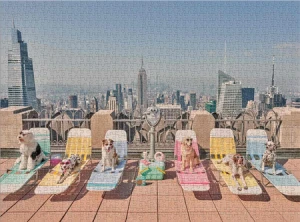 Die Hunde von New York, Malin