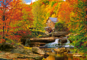 Castorland-Puzzle 1000 Teile: Magischer Herbstmoment