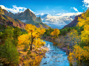 Herbst im Zion Nationalpark
