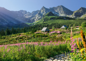 CherryPazzi-Puzzle 1000 Teile: Urlaub in der Hohen Tatra