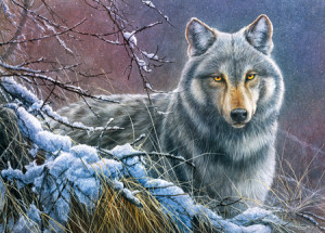 Einsamer grauer Wolf
