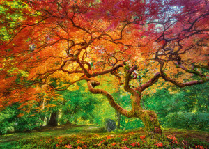 CherryPazzi-Puzzle 1000 Teile: Majestätischer Herbstbaum