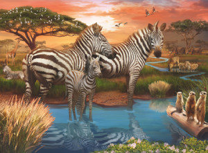 Zebras am Wasserloch