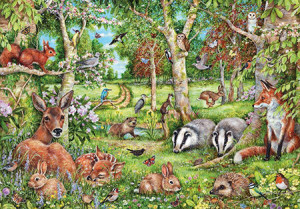 Abenteuer im Wald