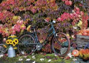 Piatnik-Puzzle 1000 Teile: Herbstimpressionen