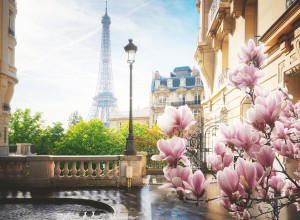 Ravensburger-Puzzle 500 Teile: Frühling in Paris