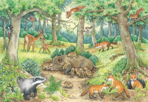 Wieso? Weshalb? Warum? - Tiere im Wald und Wiese