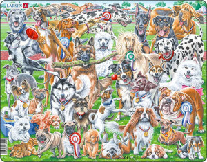 Süße und verspielte Hunde