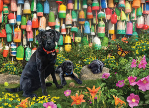 Cobble Hill-Puzzle 500 Teile: Bunte Bojen