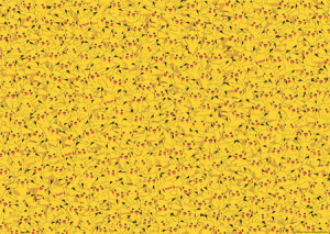 Pokemon - Challenge Pikachu