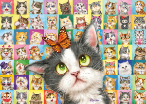 Schmidt-Spiele-Puzzle 1000 Teile: Katzen-Mimik